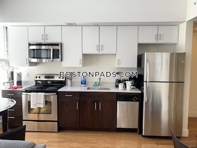 Downtown 1 Bed 1 Bath Boston - $3,100