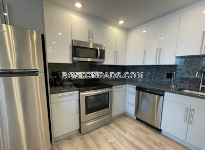 Allston MODERN Studio 1 bath available 9/1 on Commonwealth Ave in Brookline ! Boston - $2,700