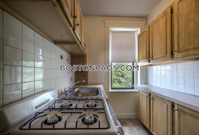 Allston Studio 1 Bath Boston - $2,300