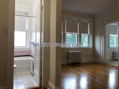 Brighton 1 Bed 1 Bath Boston - $2,560 No Fee