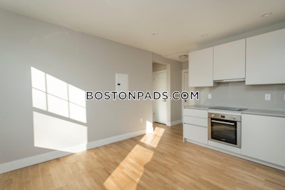 Brighton 1 Bed 1 Bath Boston - $2,650