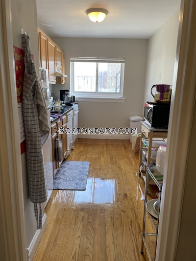 Brighton 1 Bed 1 Bath Boston - $2,350