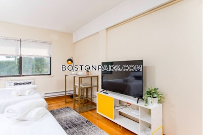 Allston 0 Bed 1 Bath BOSTON Boston - $2,100