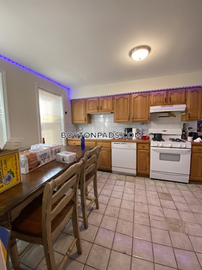 Allston 5 Beds 2 Bath Boston - $9,000