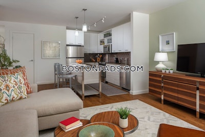 Downtown Apartment for rent 1 Bedroom 1 Bath Boston - $3,899