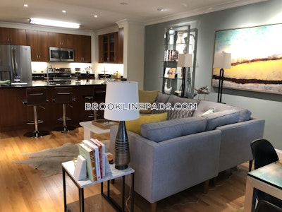 Brookline Apartment for rent 1 Bedroom 1 Bath  Coolidge Corner - $3,735 No Fee