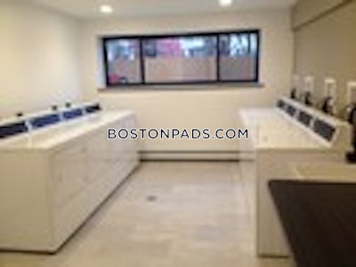 Cambridge Apartment for rent 1 Bedroom 1 Bath  Mt. Auburn/brattle/ Fresh Pond - $2,300