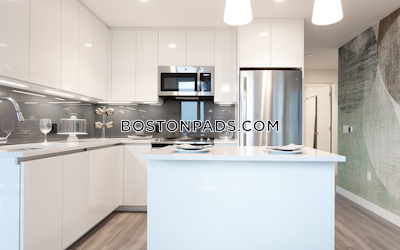 West End Apartment for rent 2 Bedrooms 2 Baths Boston - $11,305