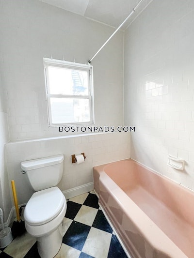 Brookline Apartment for rent 2 Bedrooms 1 Bath  Boston University - $2,900