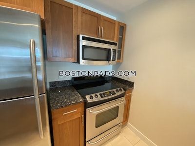 West End Apartment for rent 1 Bedroom 1 Bath Boston - $3,125