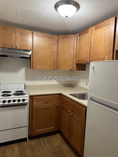 Brighton Apartment for rent Studio 1 Bath Boston - $1,800