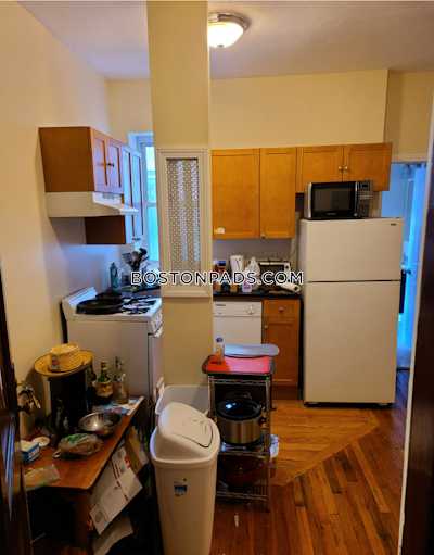 Allston Apartment for rent 1 Bedroom 1 Bath Boston - $2,600