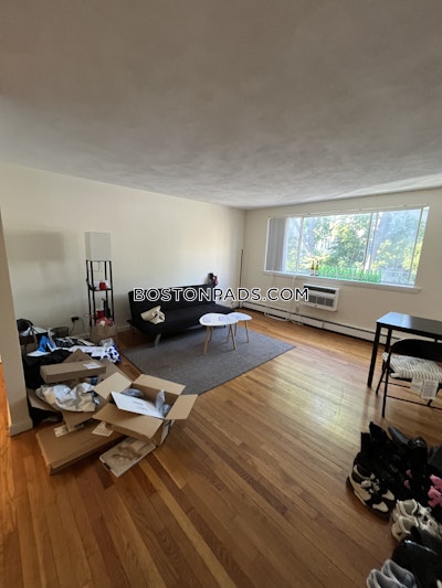 Allston Apartment for rent 2 Bedrooms 1 Bath Boston - $2,600 No Fee