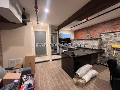 Allston Apartment for rent 1 Bedroom 1 Bath Boston - $3,200 No Fee