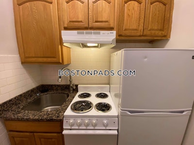 Northeastern/symphony Apartment for rent Studio 1 Bath Boston - $2,100