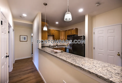 Needham Apartment for rent 2 Bedrooms 2 Baths - $3,000