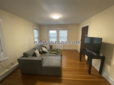 Roxbury Apartment for rent 1 Bedroom 1 Bath Boston - $2,000 No Fee