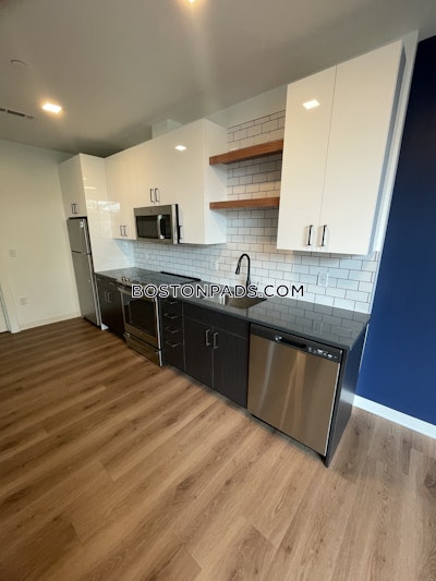 Allston 1 bedroom  Luxury in BOSTON Boston - $3,990 No Fee