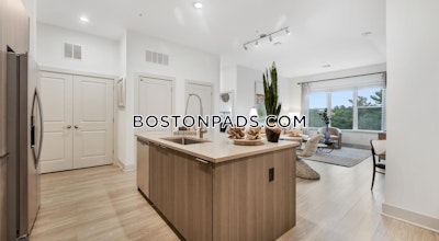 Wellesley Apartment for rent 2 Bedrooms 2 Baths - $5,559